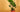 All About The ZZ Plant