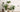 Indoor Houseplants That Help Purifier Your Air