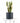 Sansevieria Laurentii in Black Ceramic Cylinder Planter