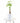 Money Tree Plant in White Ceramic Cylinder Planter