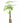 Money Tree Plant in White Ceramic Cylinder Planter