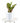 Croton Petra House Plant in White Ceramic Cylinder Planter