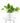 Epipremnum aureum 'Pothos' in White Ceramic Cylinder Planter