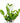 ZZ Plant in White Ceramic Cylinder Planter