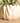 Ivory Ceramic Pumpkin Planter with Spider Plant